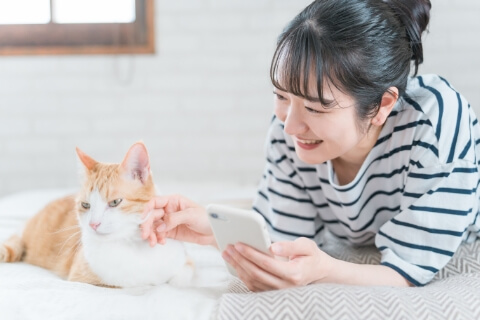 飼い主様情報と加入する動物の情報登録